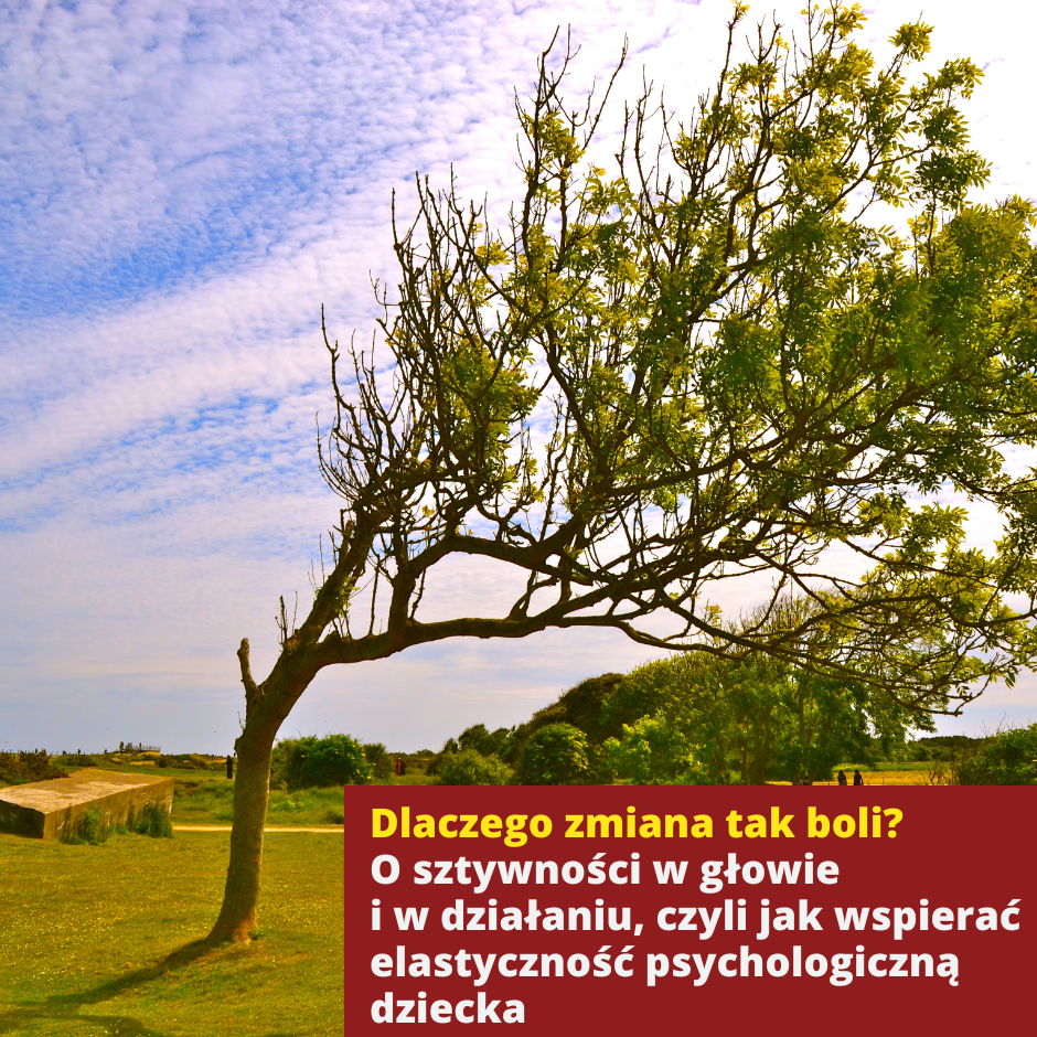 Dlaczego zmiana tak boli? O sztywności w głowie i w działaniu, czyli jak wspierać elastyczność psychologiczną dziecka
