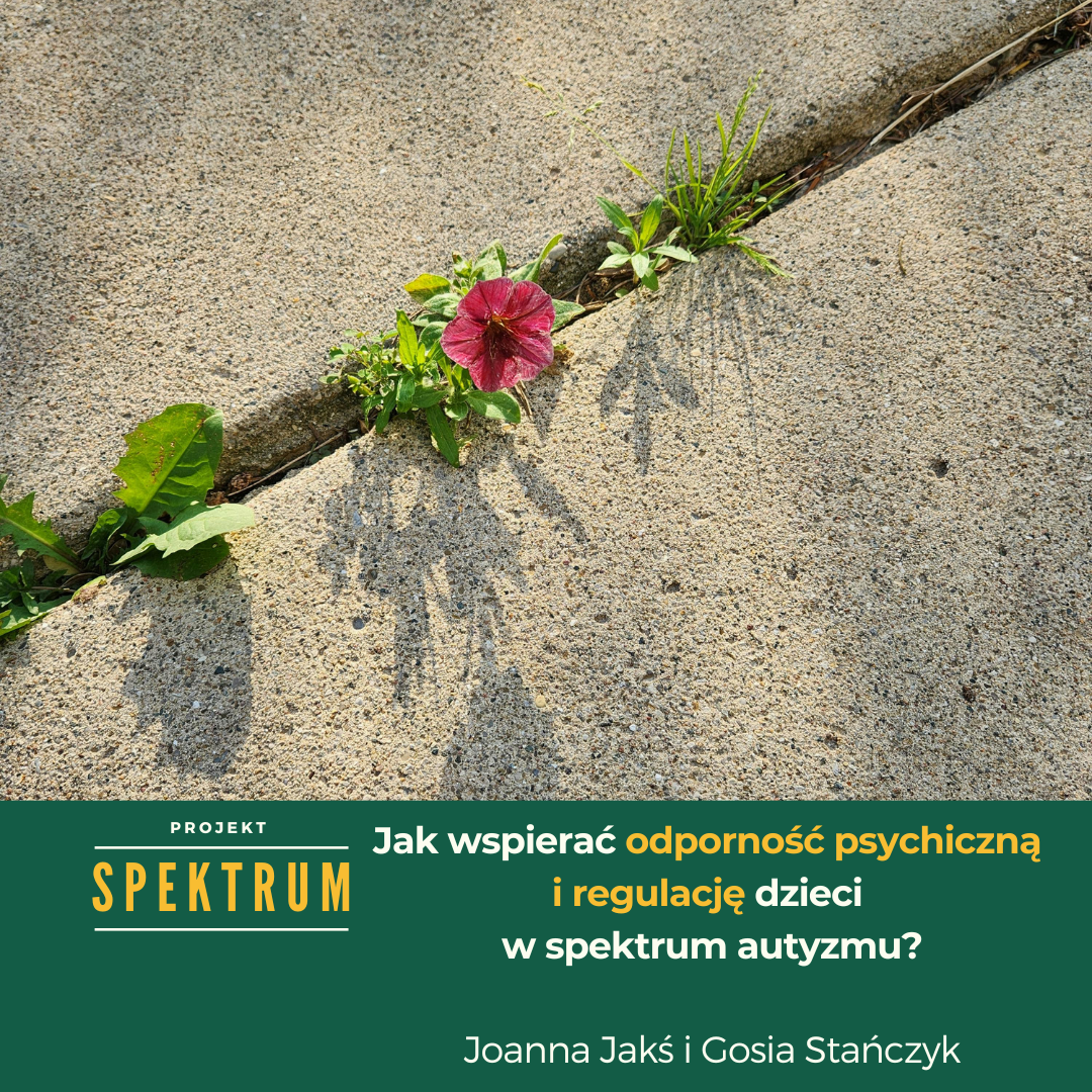 Projekt Spektrum: Jak wspierać odporność psychiczną i regulację dzieci w spektrum autyzmu?
